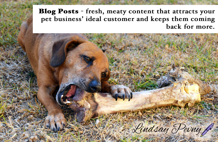 Fresh, meaty content is great for search engines, and keeps readers coming back for more. How often do you blog for your pet business?