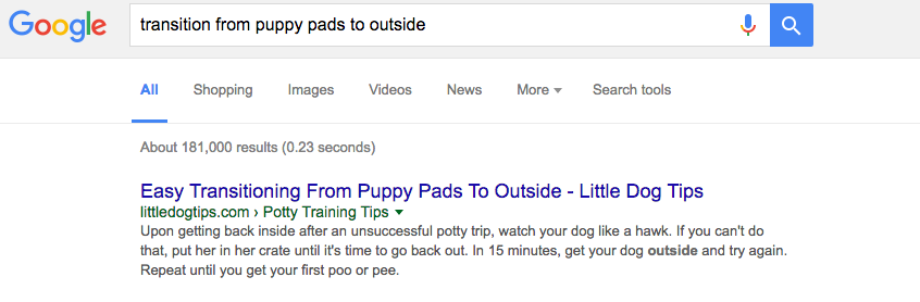 How I Got My Pet Blog Post To Rank First In Google Search