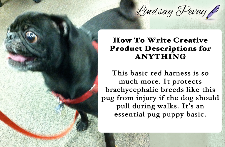 You can write a creative product description about anything - for example, this basic red harness. Descriptions never have to be boring!